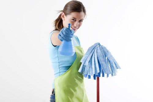 Professional window cleaning for homes and businesses in Colliers Wood