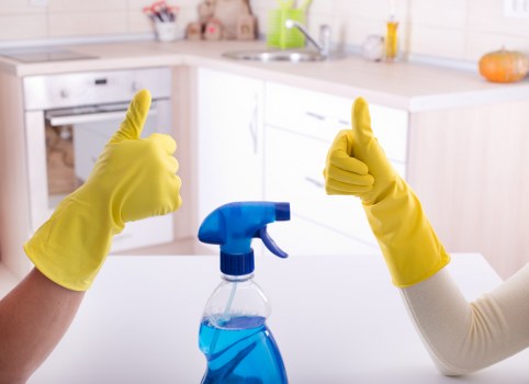 Domestic cleaning service for a Collierswood home kitchen and living space