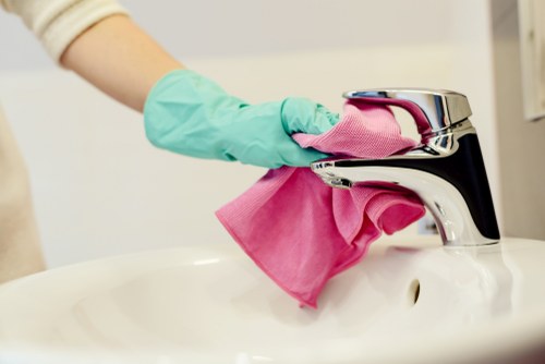 Odour removal process for pet accidents on upholstery