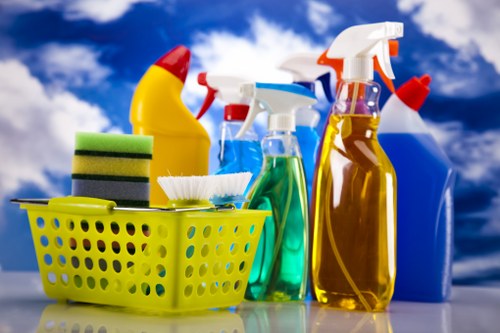Professional cleaner maintaining a spotless interior space in Collierswood