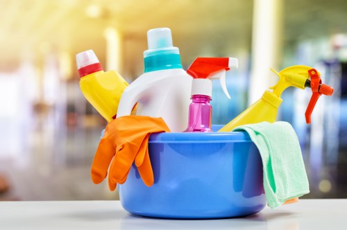 Cleaner Collierswood cleaning team working safely in a home