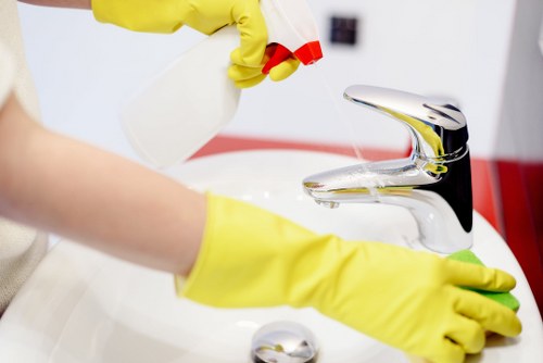 Move in cleaning service preparing a Collierswood home for new occupants
