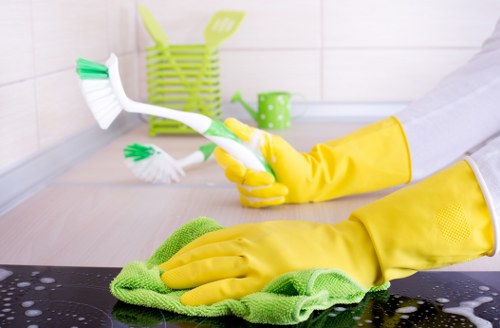 Local domestic cleaner working in a Collierswood apartment with shared access