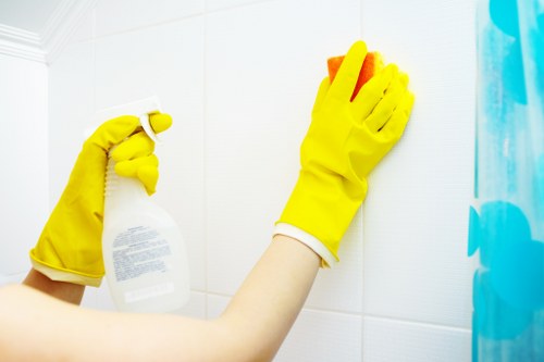 Professional oven cleaning service in a Collierswood kitchen