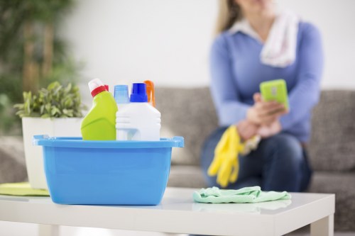 Collierswood cleaning service demonstrating detail-focused property care