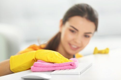 Professional curtain cleaning process in a Collierswood property