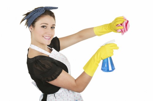 Detailed post-renovation dust removal in Collierswood