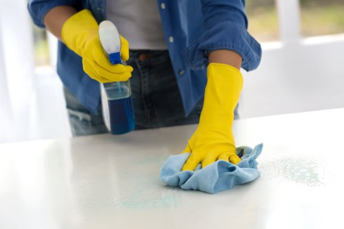 Ongoing accessibility review for Cleaner Collierswood cleaning services