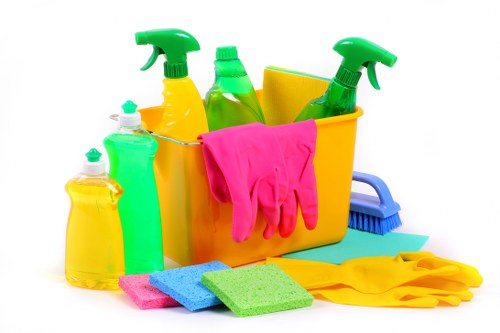 Professional cleaner working in a domestic property interior